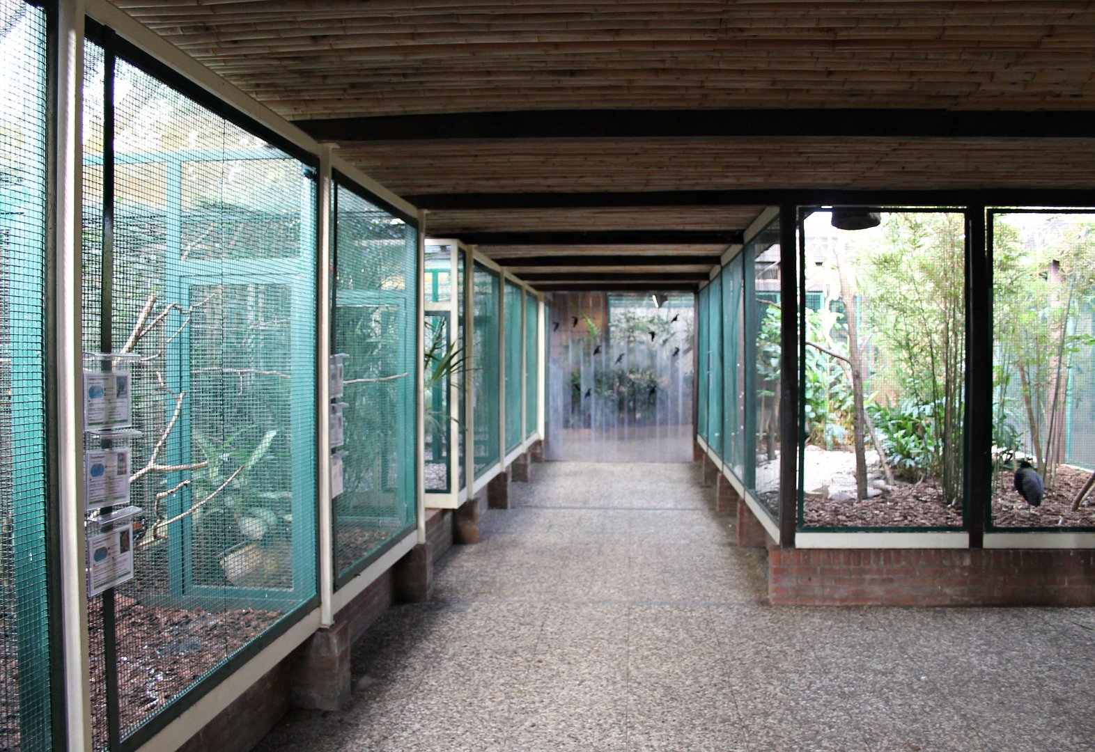 Aviaries in "Pukara" (24/3-19)