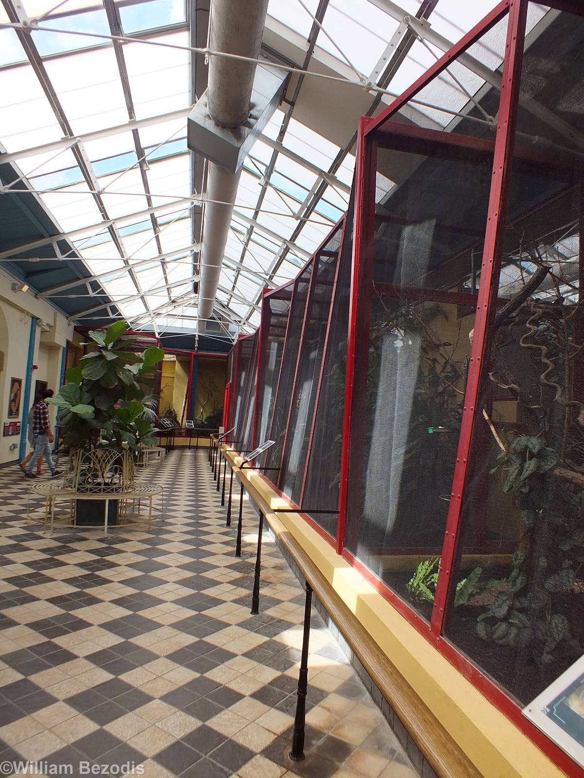 Aviaries in the Blackburn Pavilion