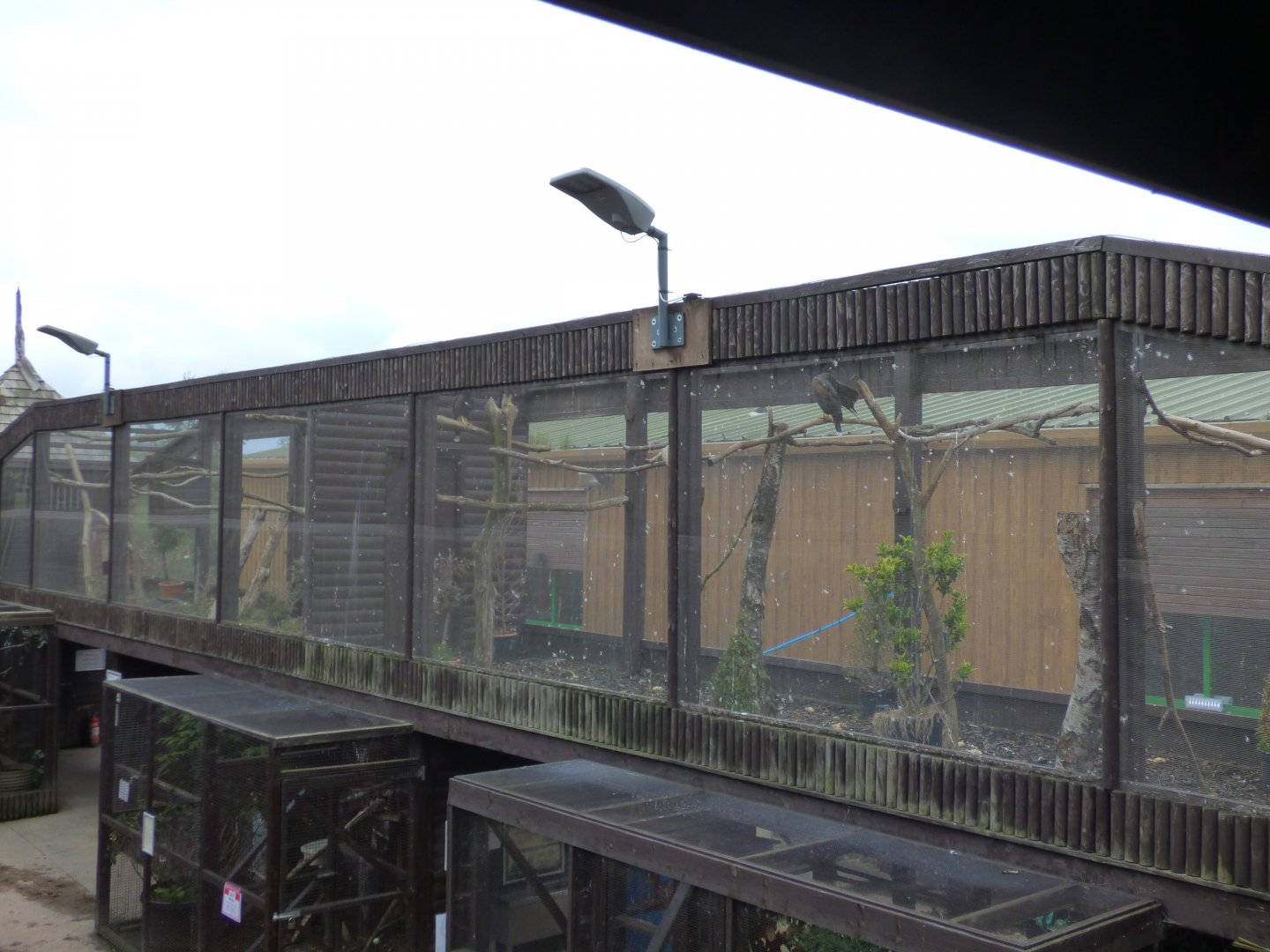 Aviaries in 'The Castle Zoo'