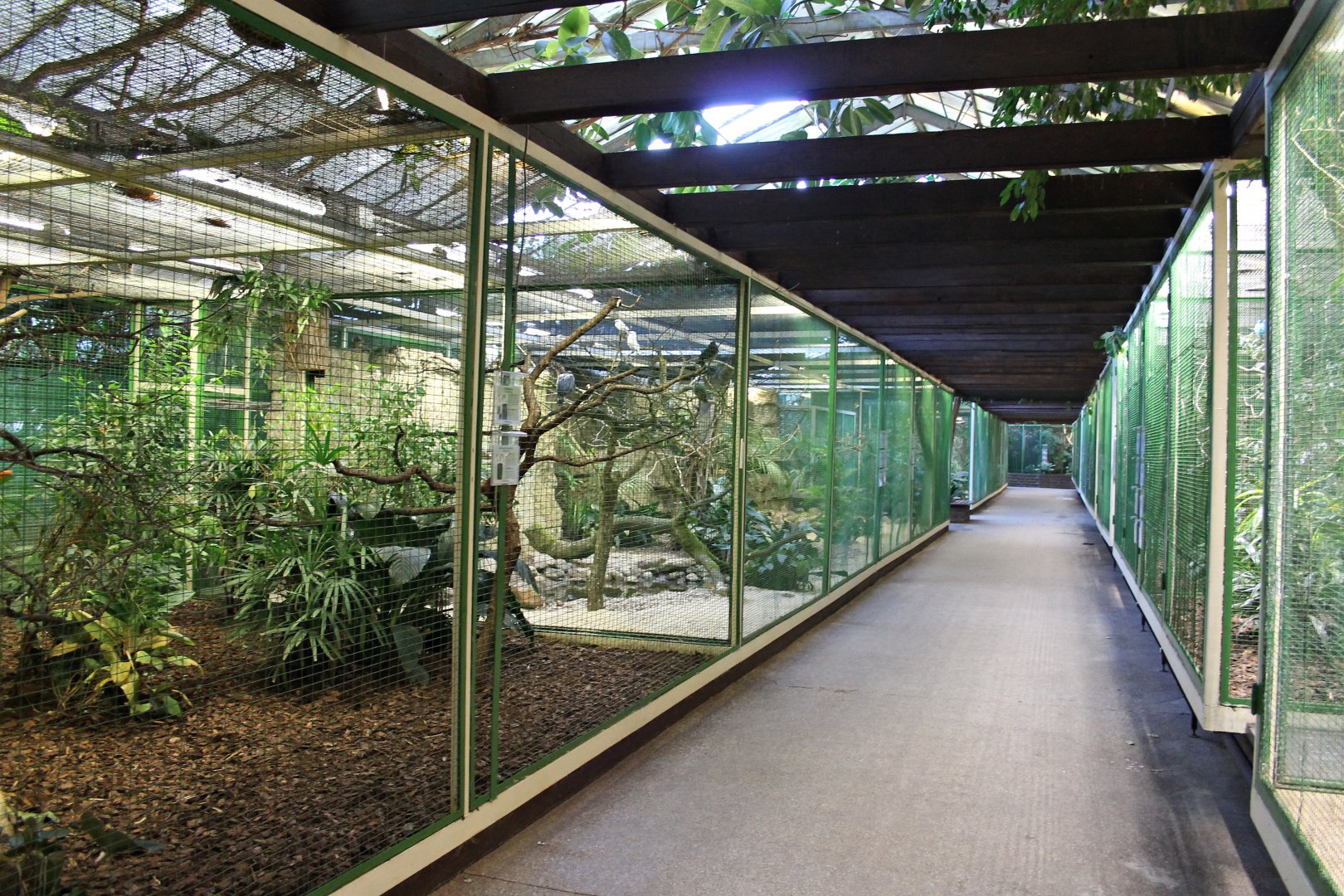 Aviaries in the "Paradies-halle" (24/3-19)