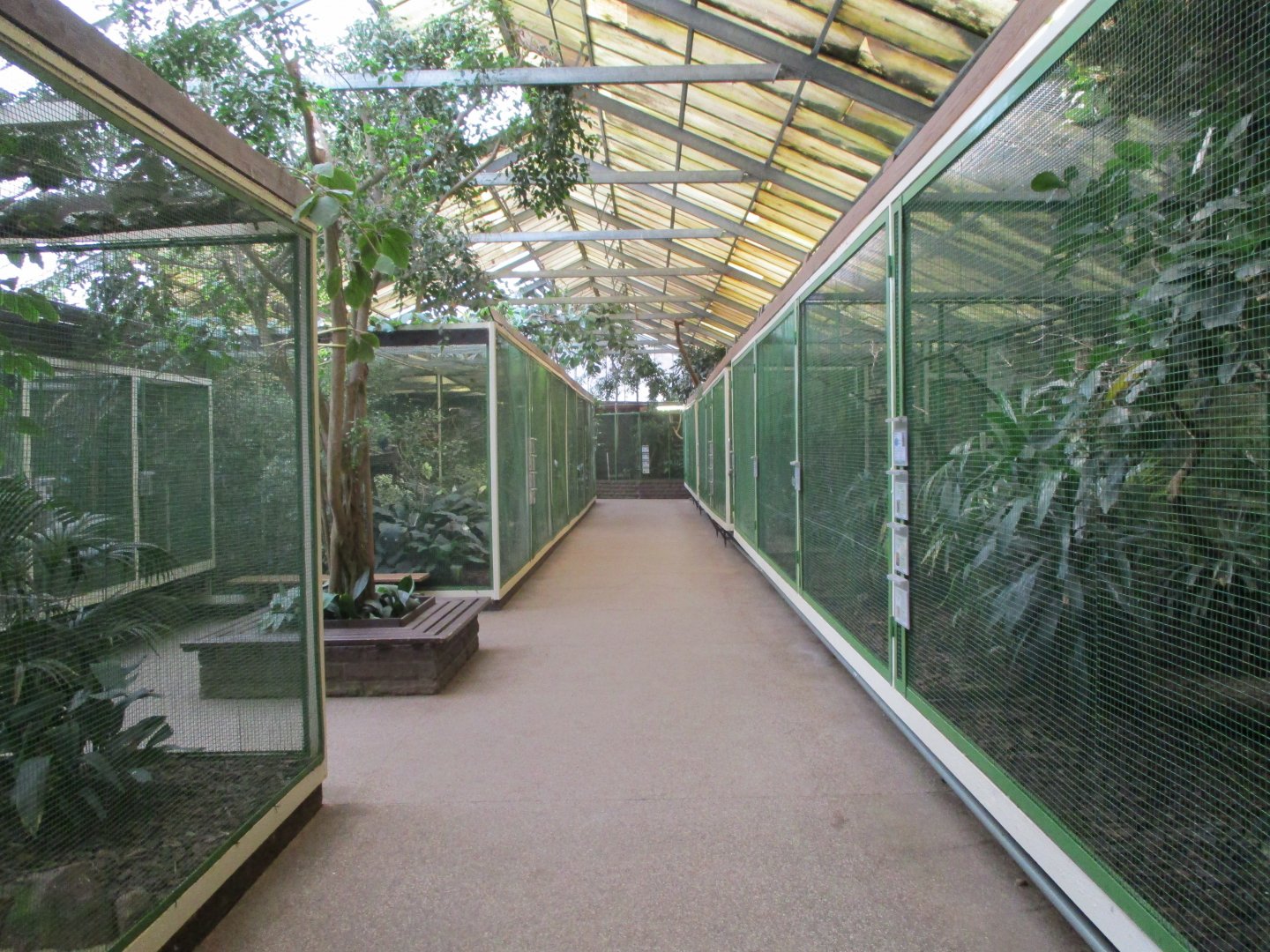 Aviaries in the paradise hall