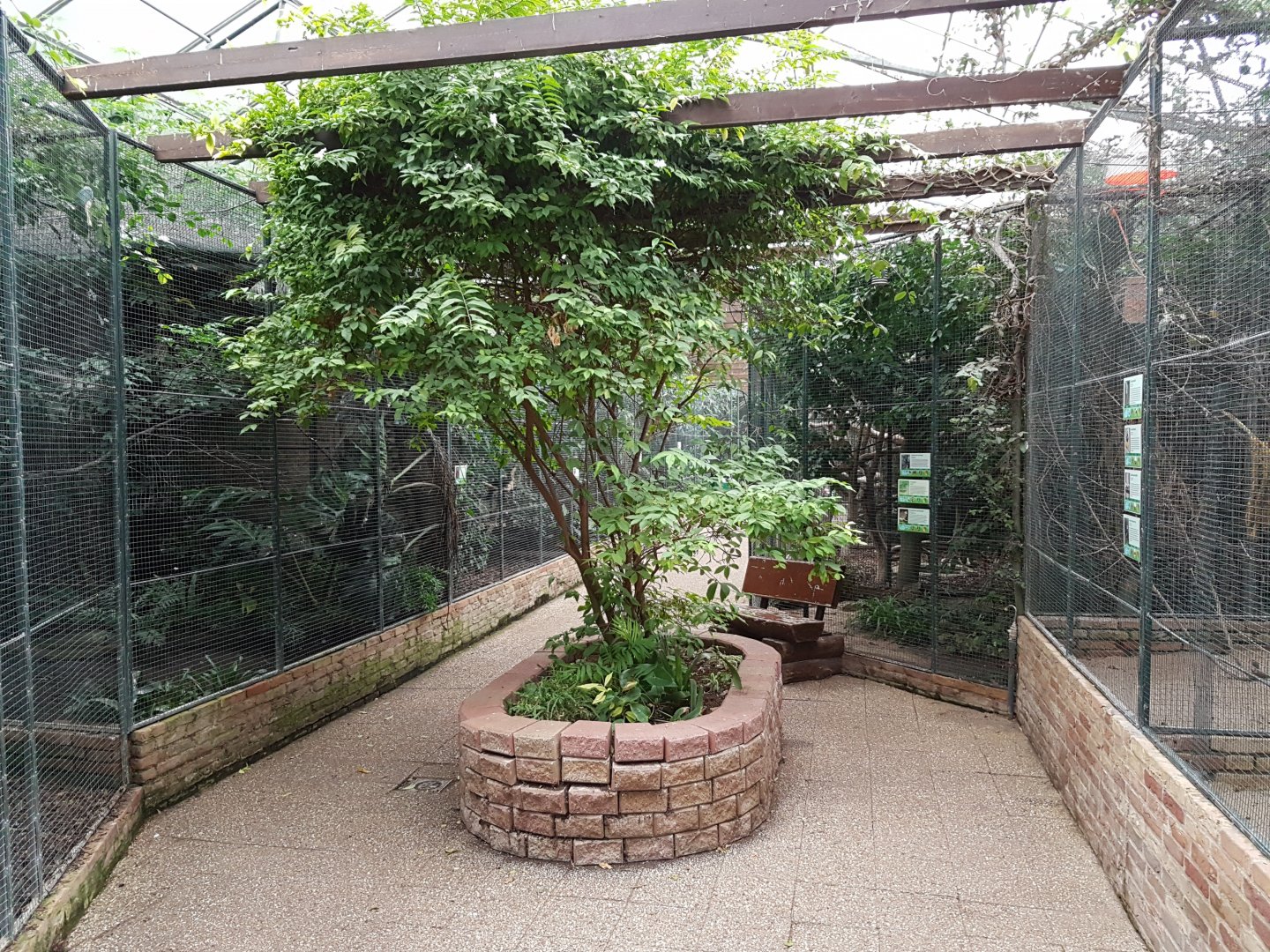 Aviaries in the Tropical House