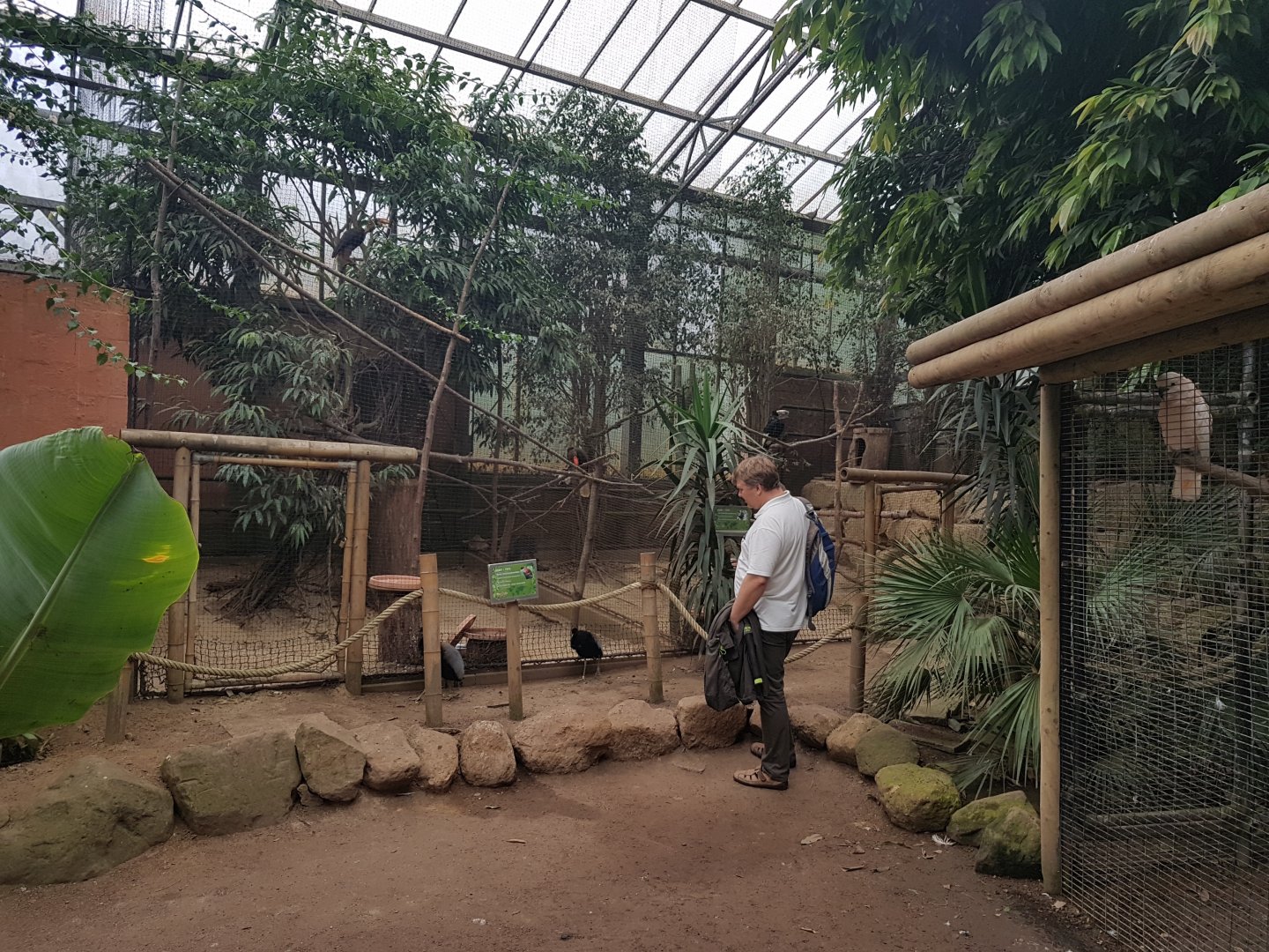 Aviaries in Tropical Hall