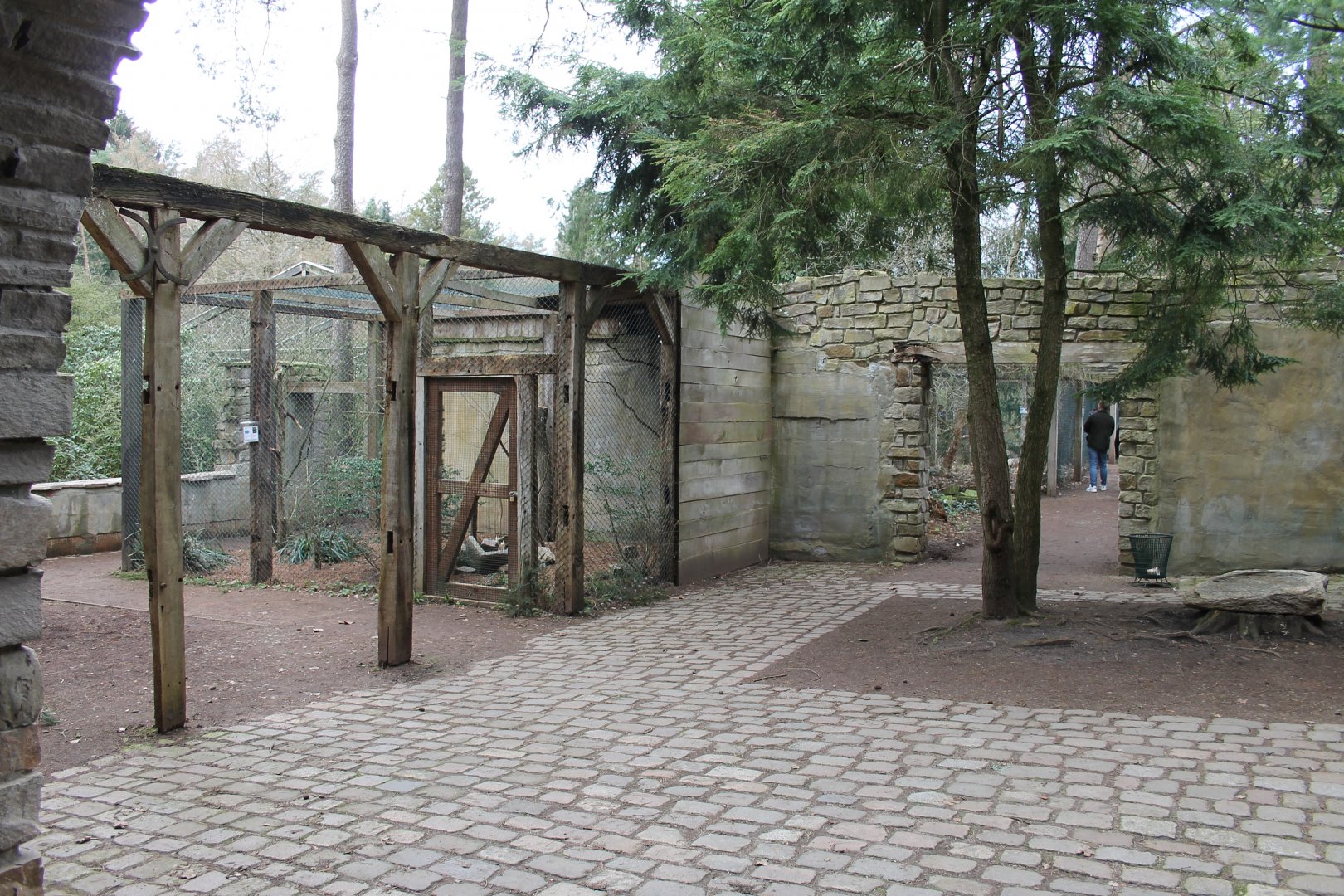 Aviaries "inside" the Uhu-burg (24/3-19)