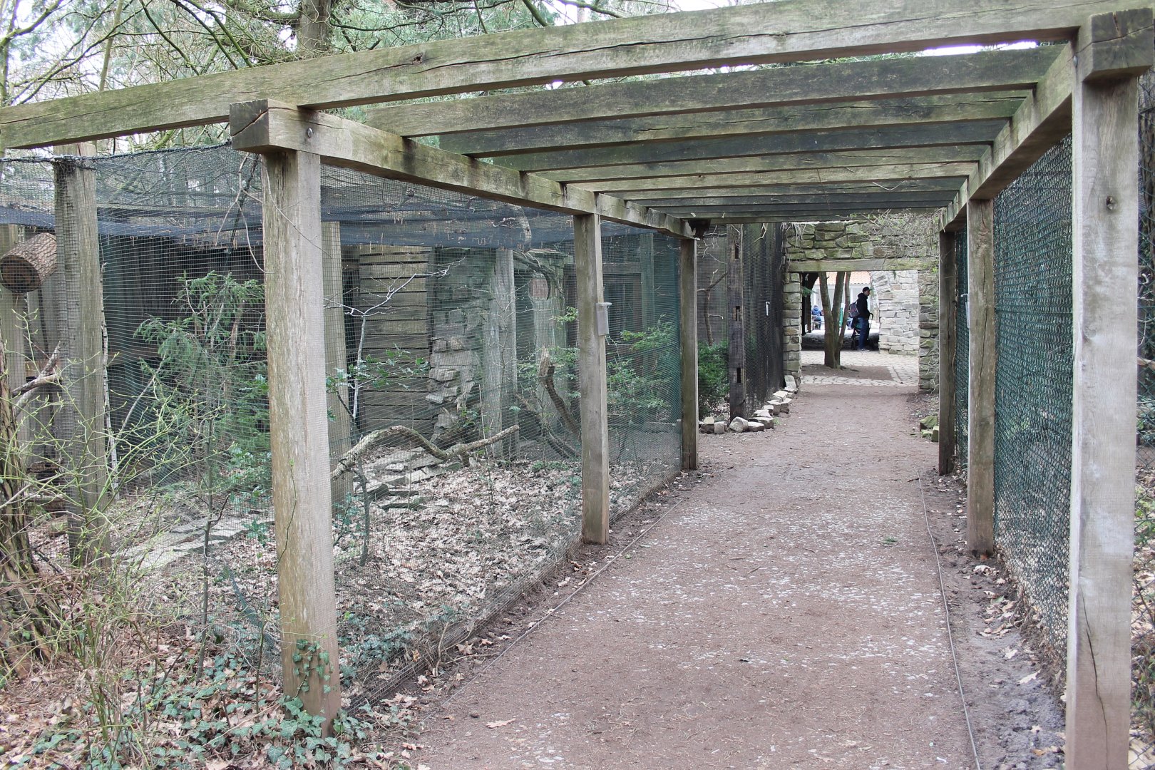 Aviaries "inside" the Uhu-burg (24/3-19)