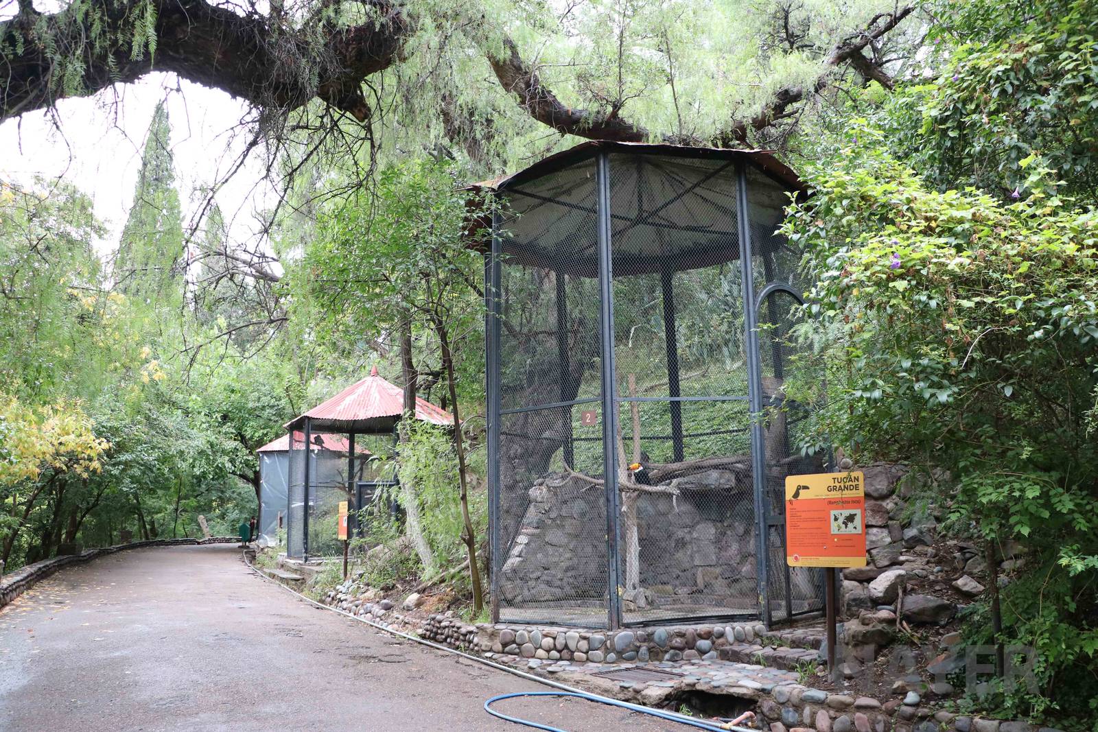 Aviaries - Mendoza Zoo, April 2016