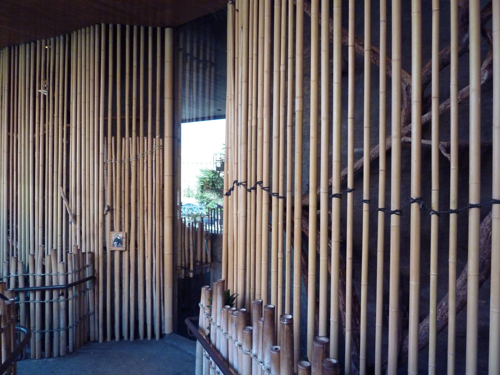 Aviaries Near Entrance