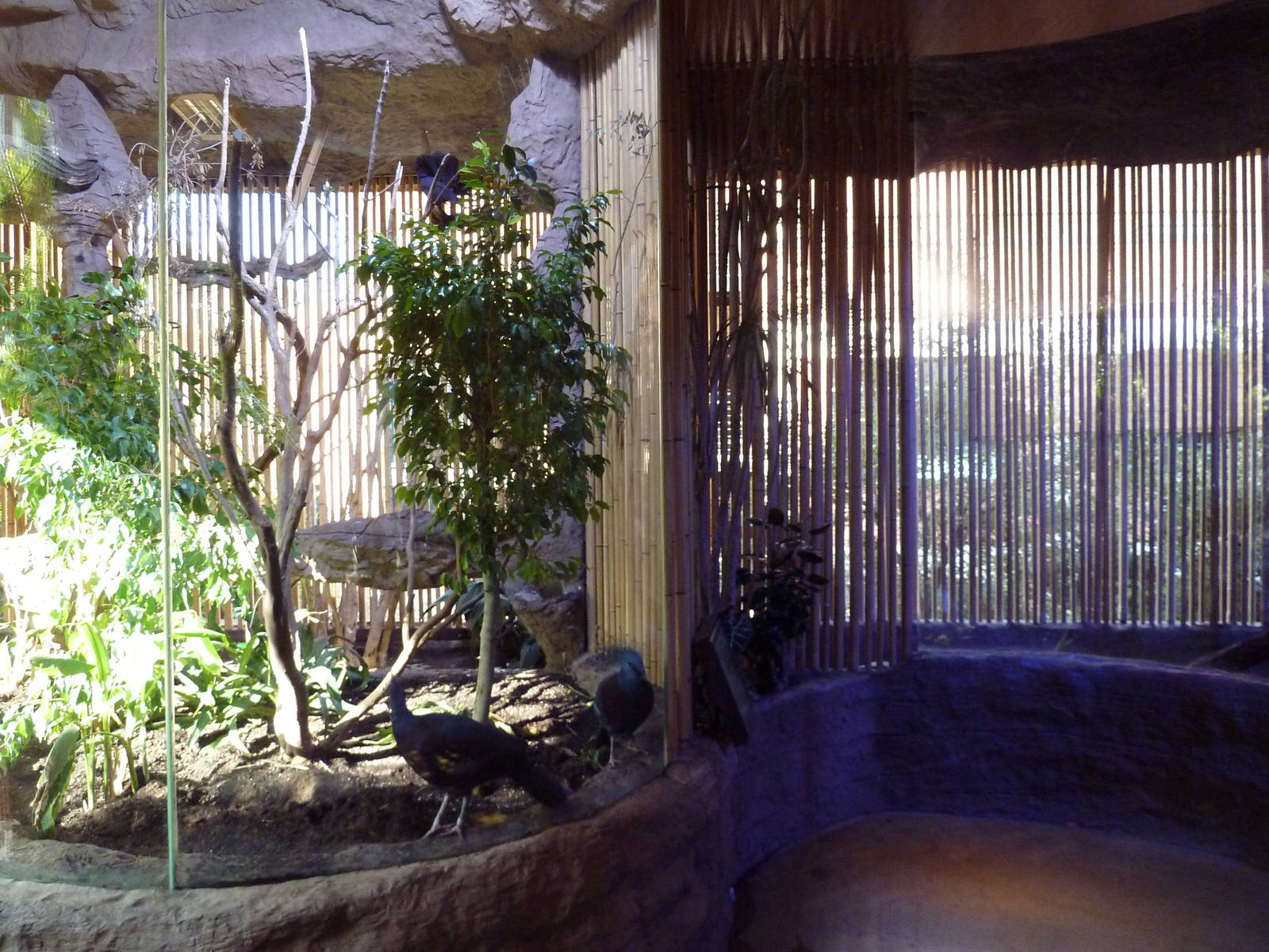 Aviaries Near Entrance