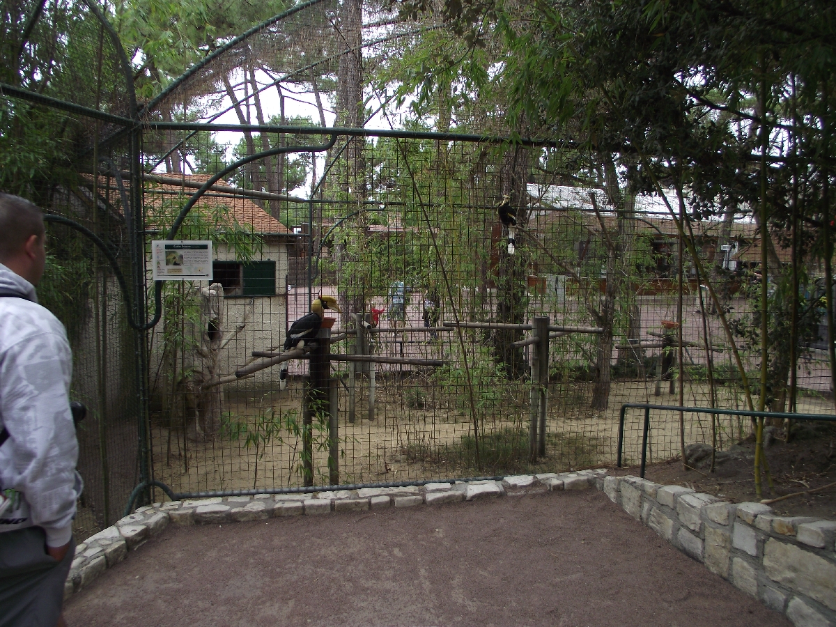 Aviaries near Entrance