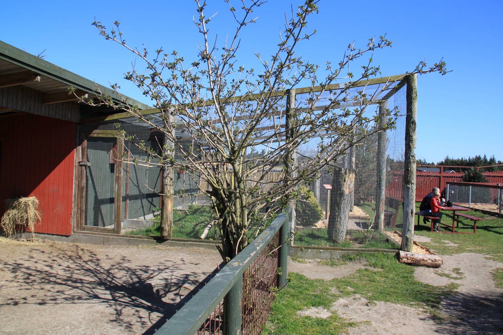 Aviaries near the entrance