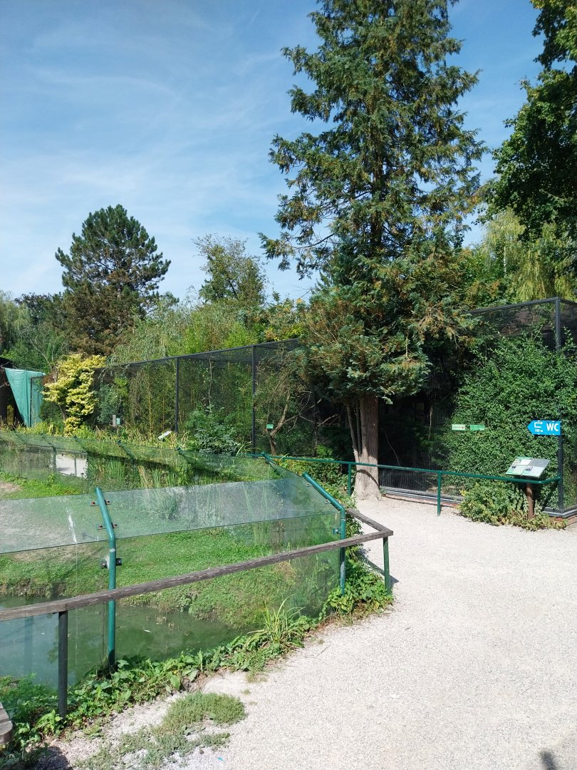 Aviaries nearby the gorilla enclosure