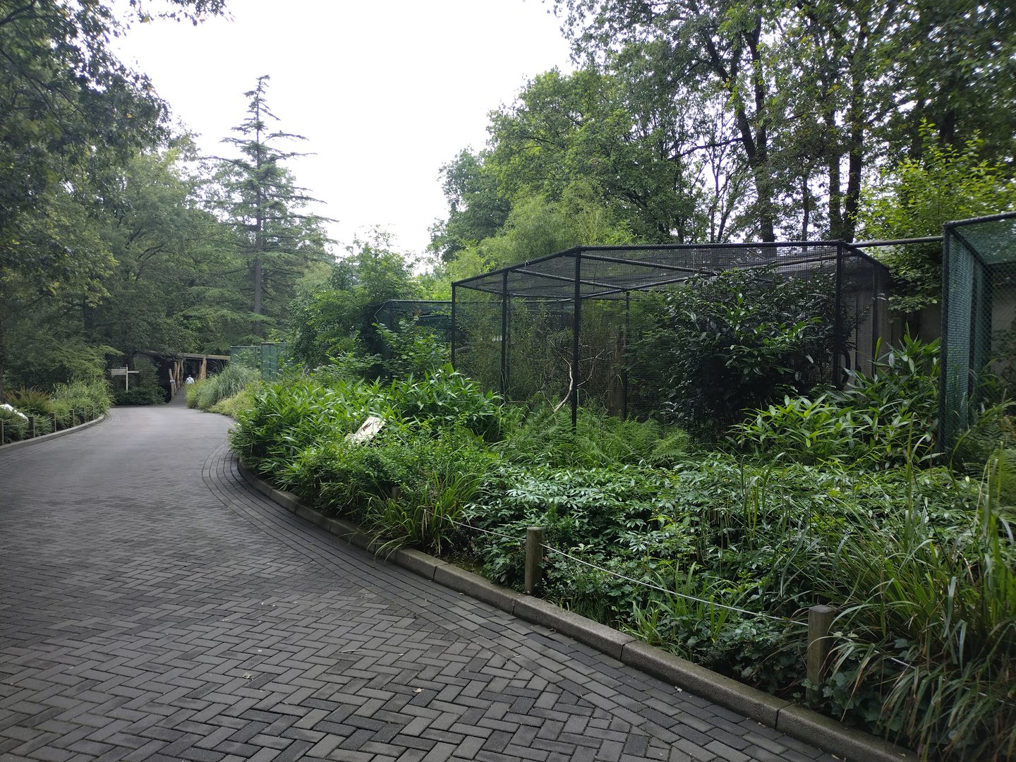 Aviaries of the bird house