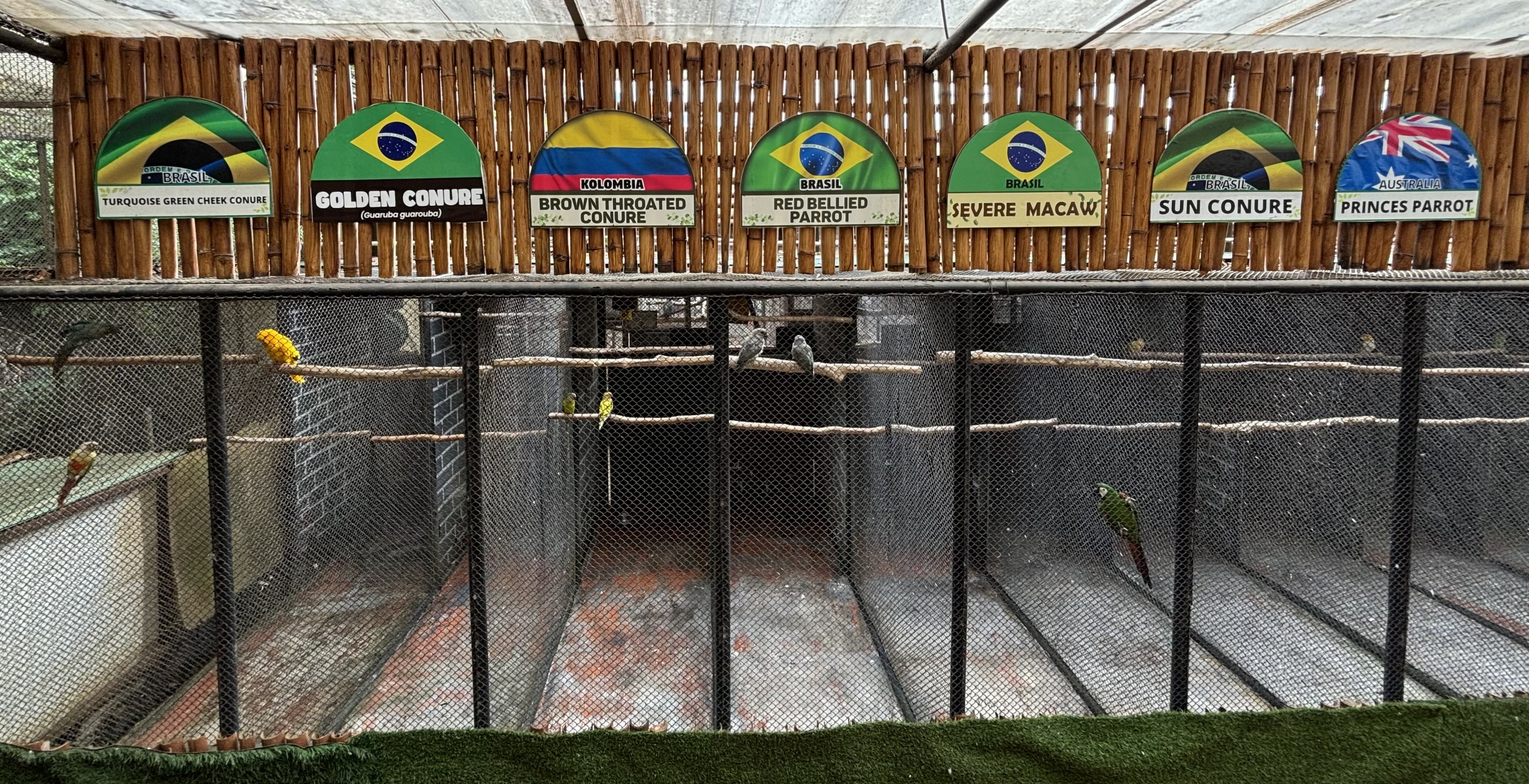 Aviaries of the World