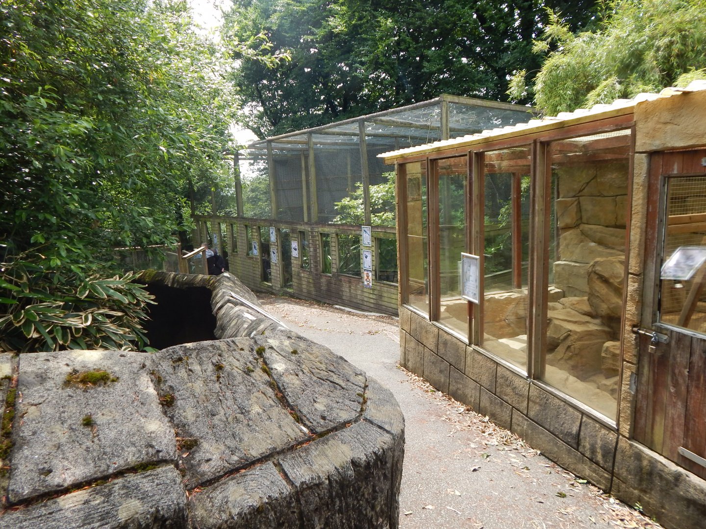 Aviaries on left, Arabian sand cat enclosure on right 050625