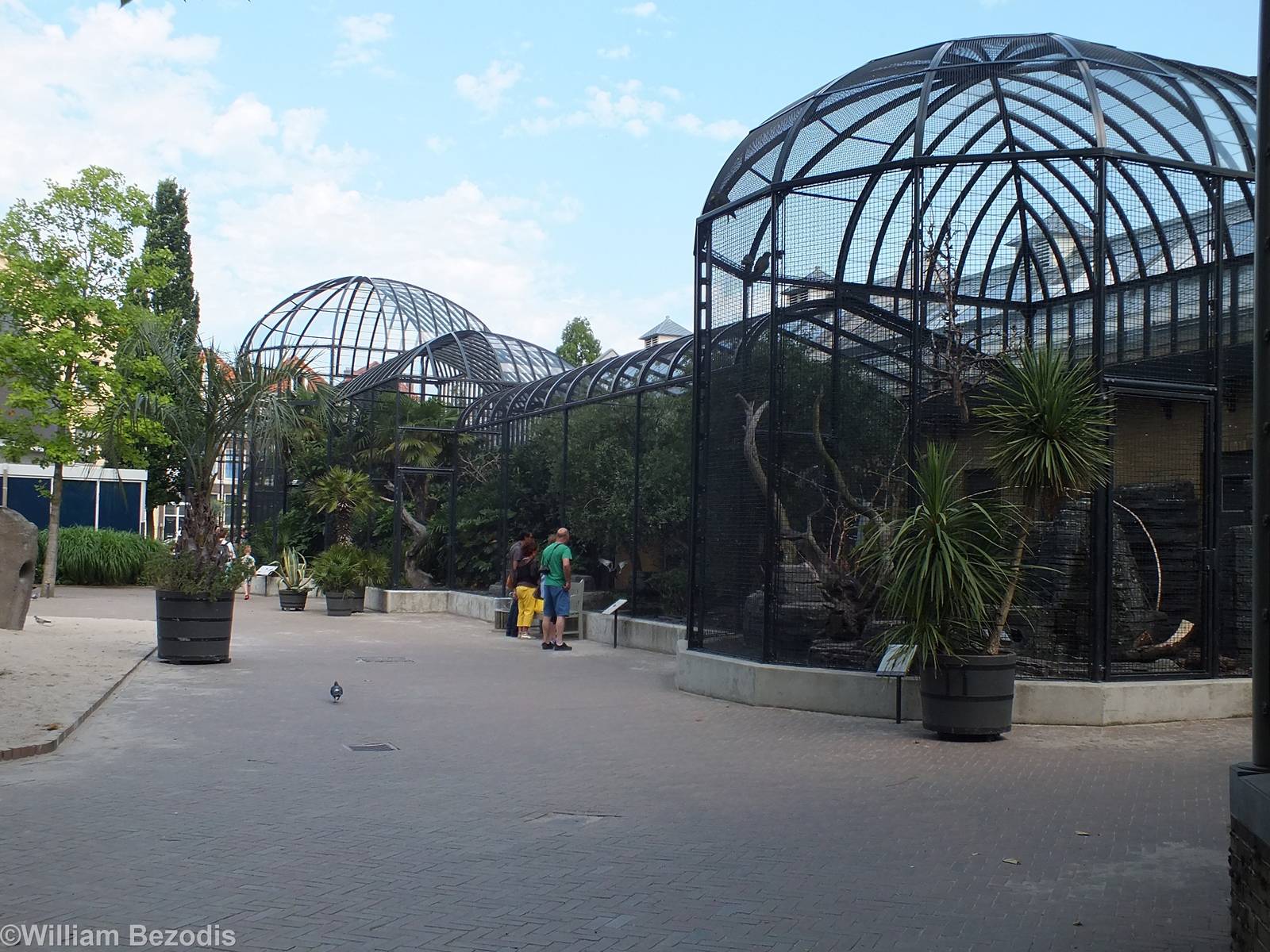Aviaries on the outside of the Bird house and Rainforest Hall