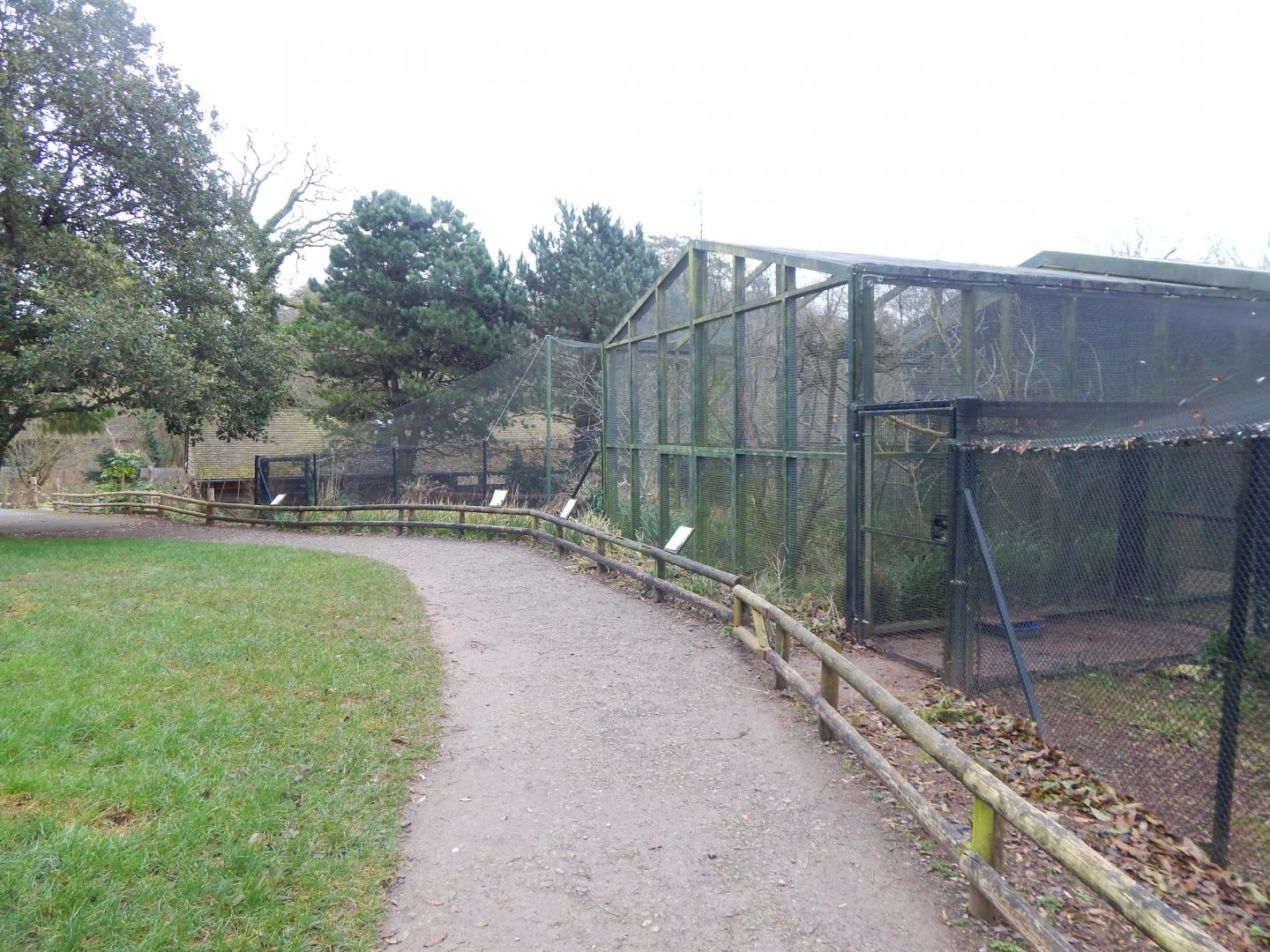 Aviaries opposite Avian Breeding Centre 050224