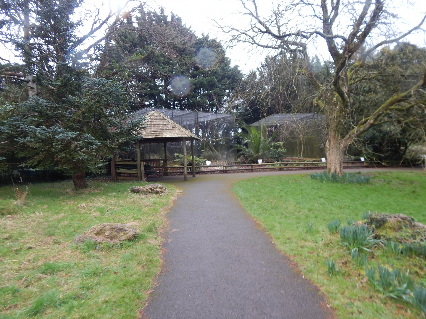 Aviaries opposite Cottage Aviary 050224