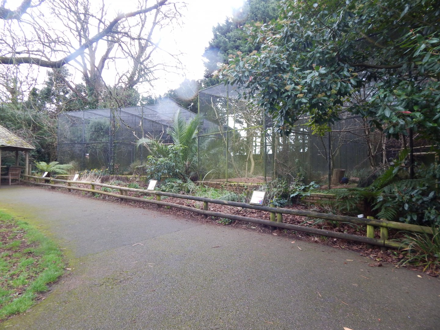 Aviaries opposite Cottage Aviary 050224