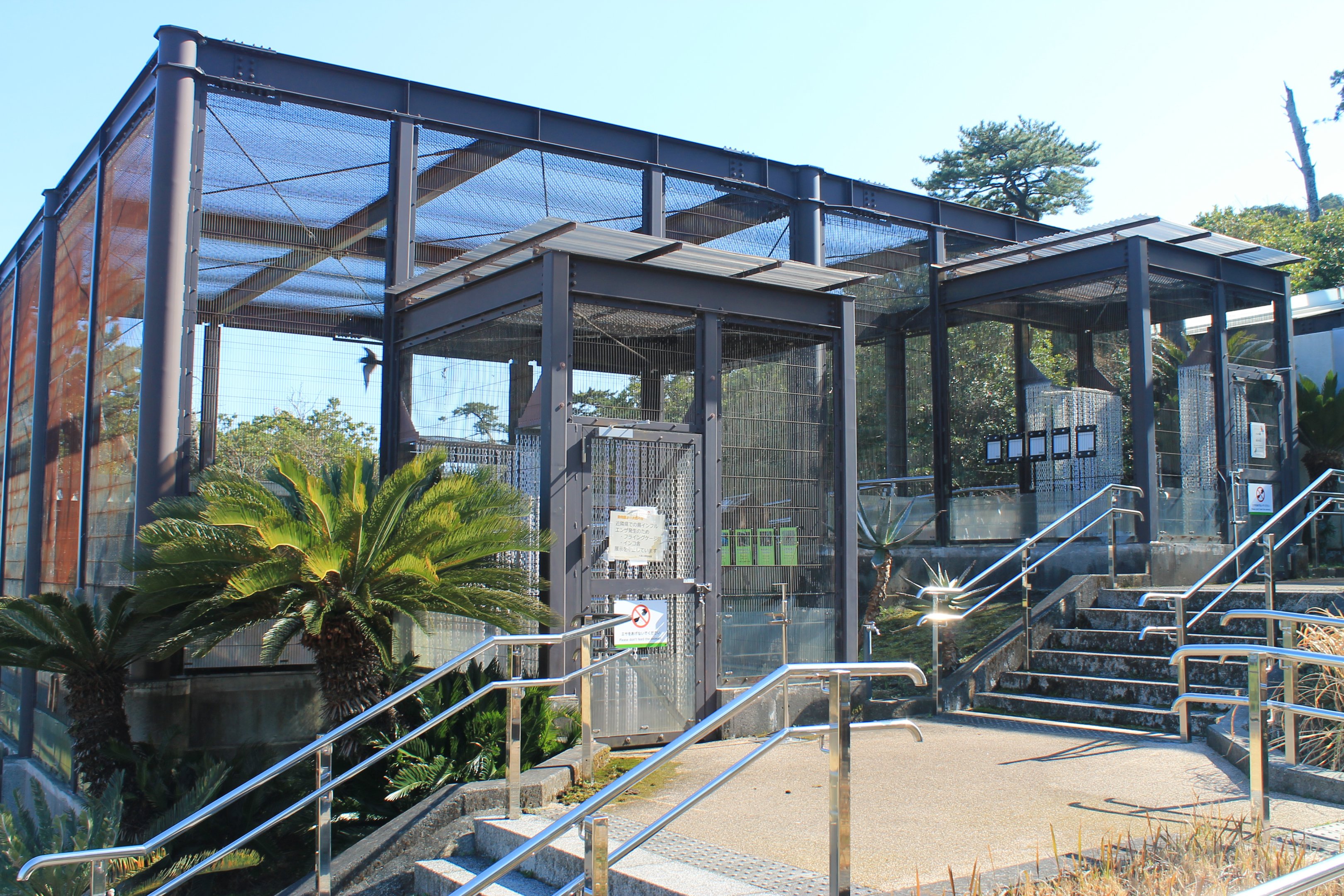Aviaries - Oshima Park Zoo