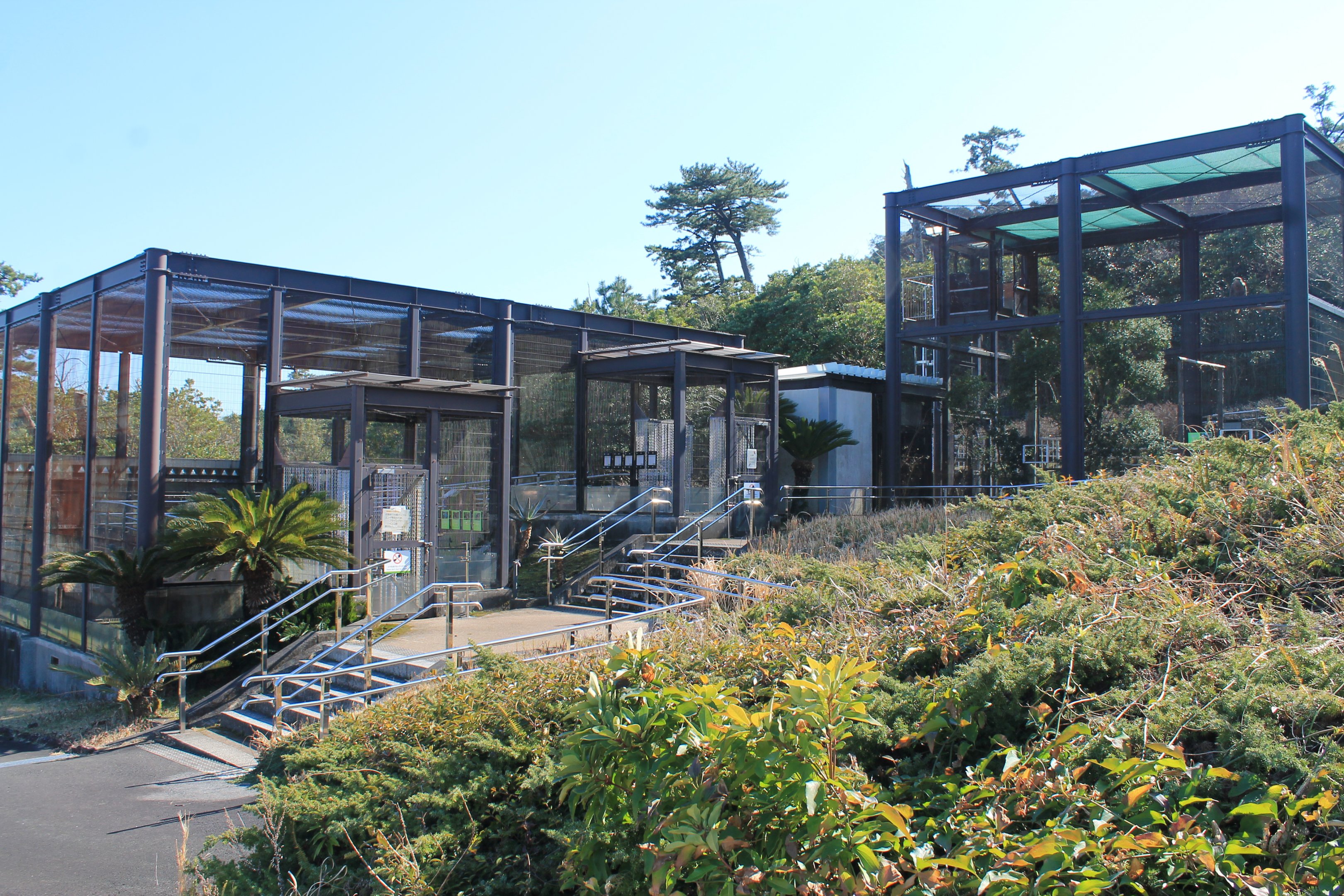 Aviaries - Oshima Park Zoo