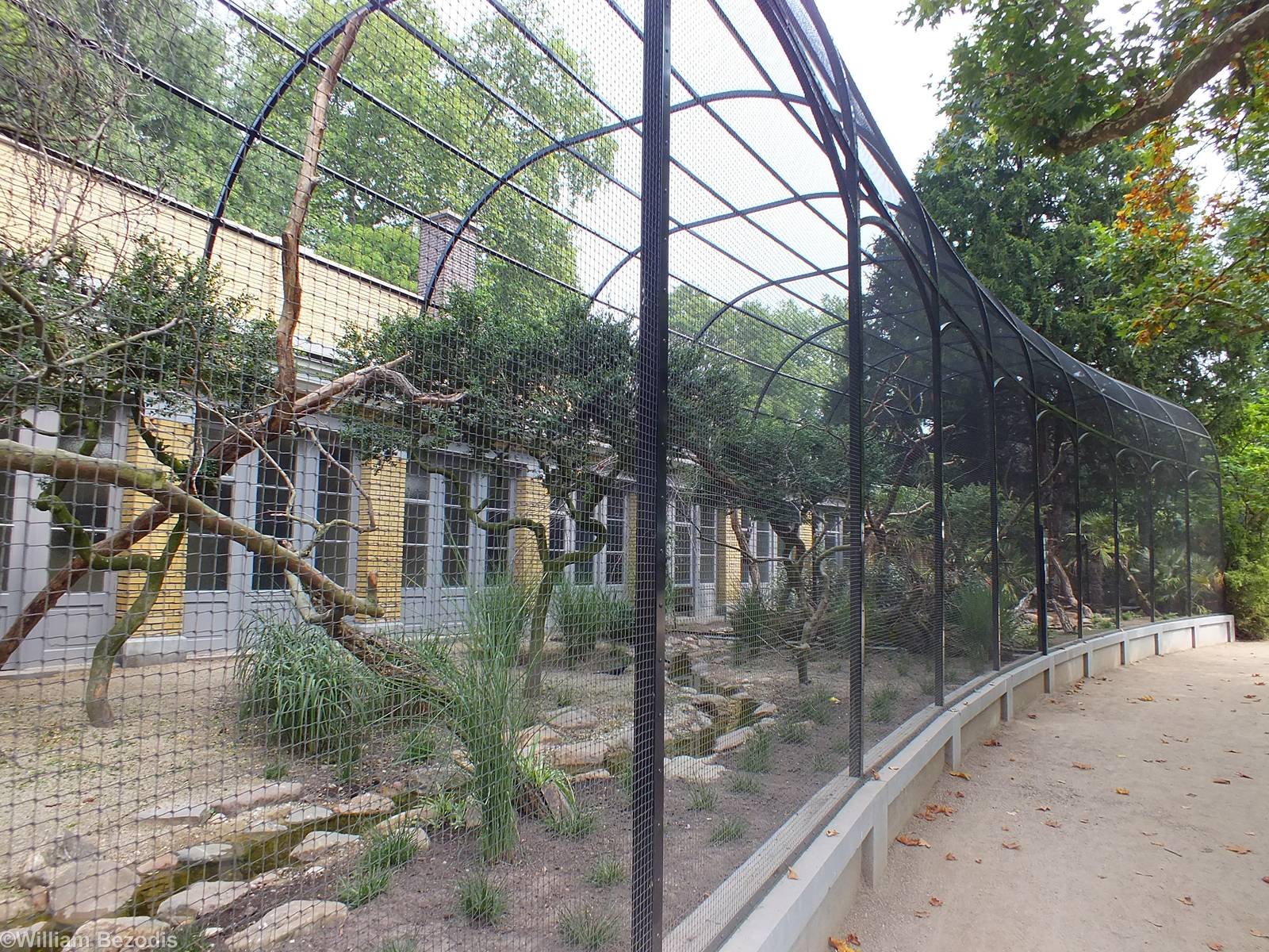 Aviaries Outside the Bird House
