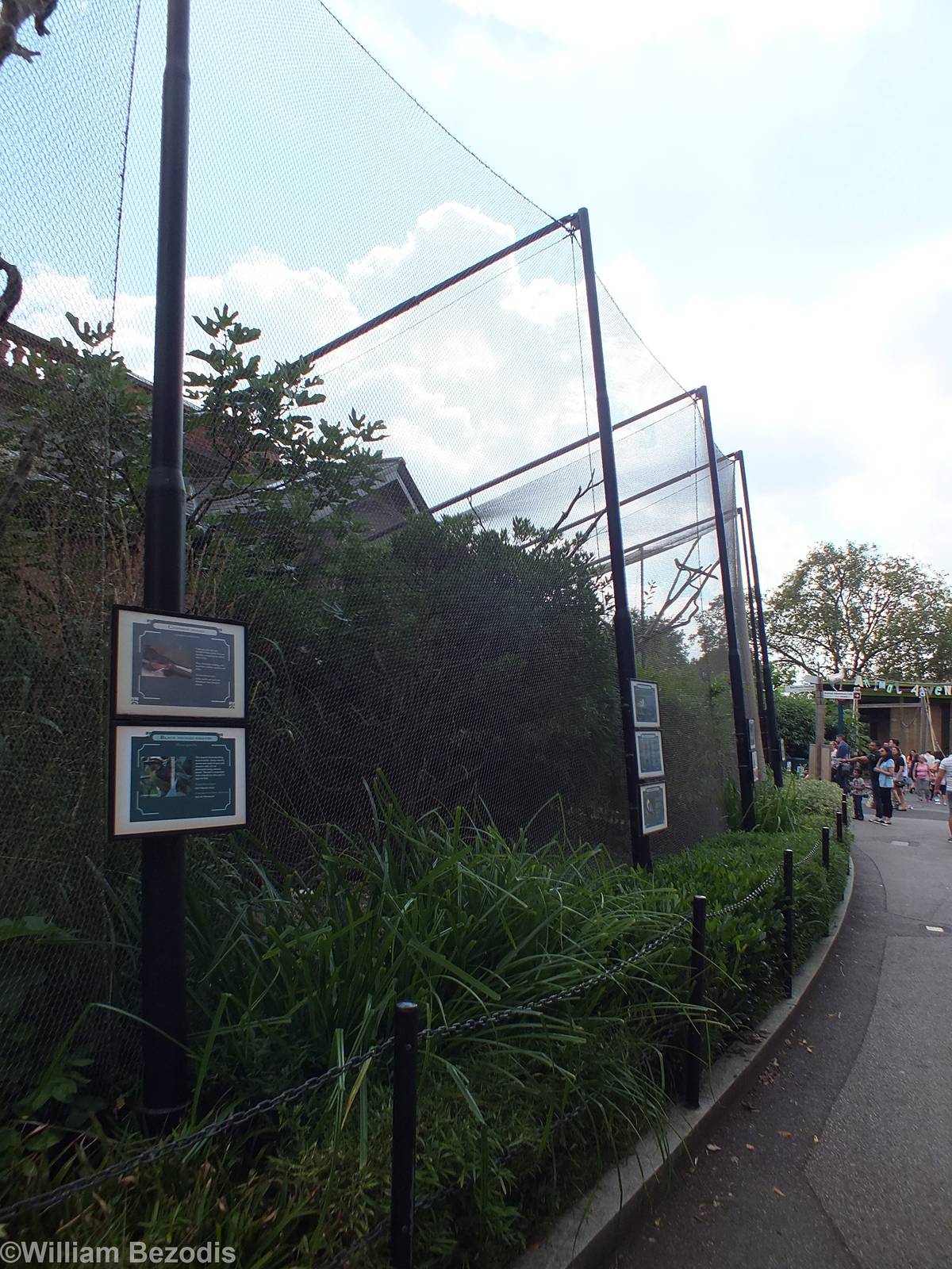 Aviaries Outside the Blackburn Pavilion