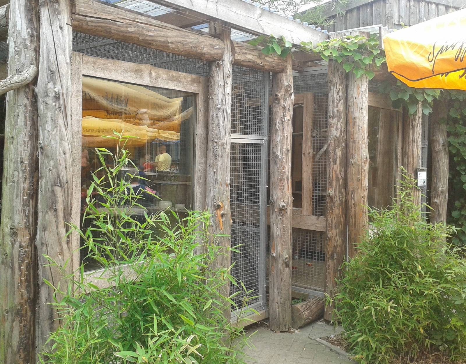Aviaries parakeets and Red-billed chough