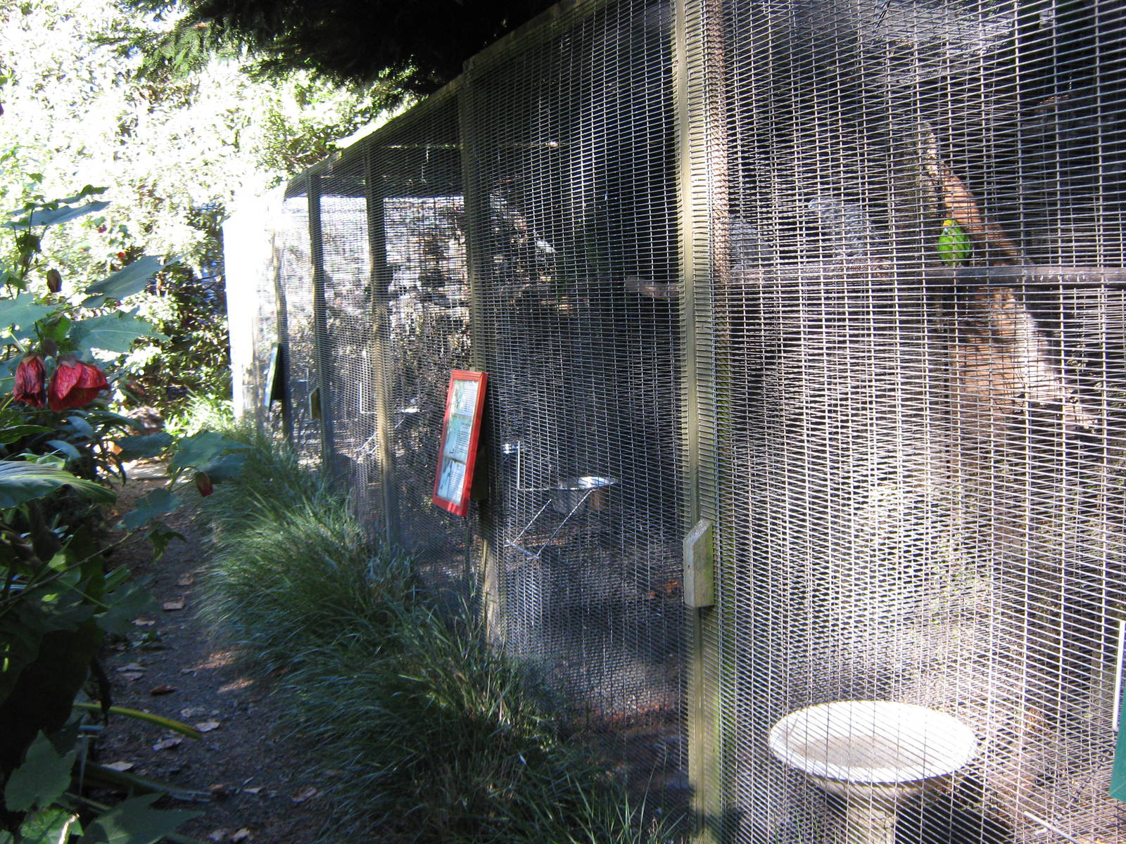 aviaries, Parrot Ranch