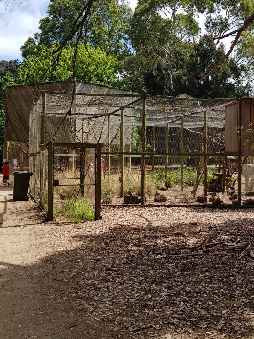 Aviaries - Phillip Island Wildlife Park