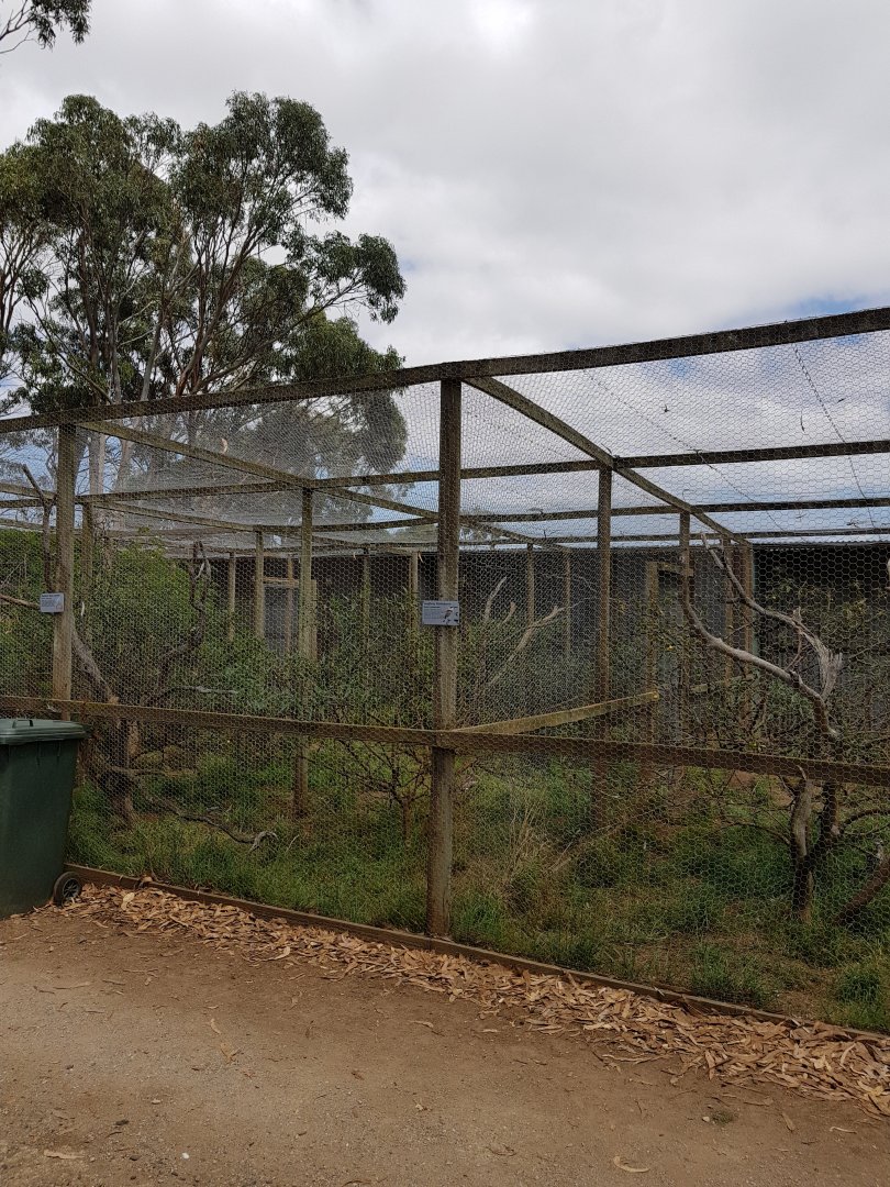 Aviaries  - Phillip Island Wildlife Park