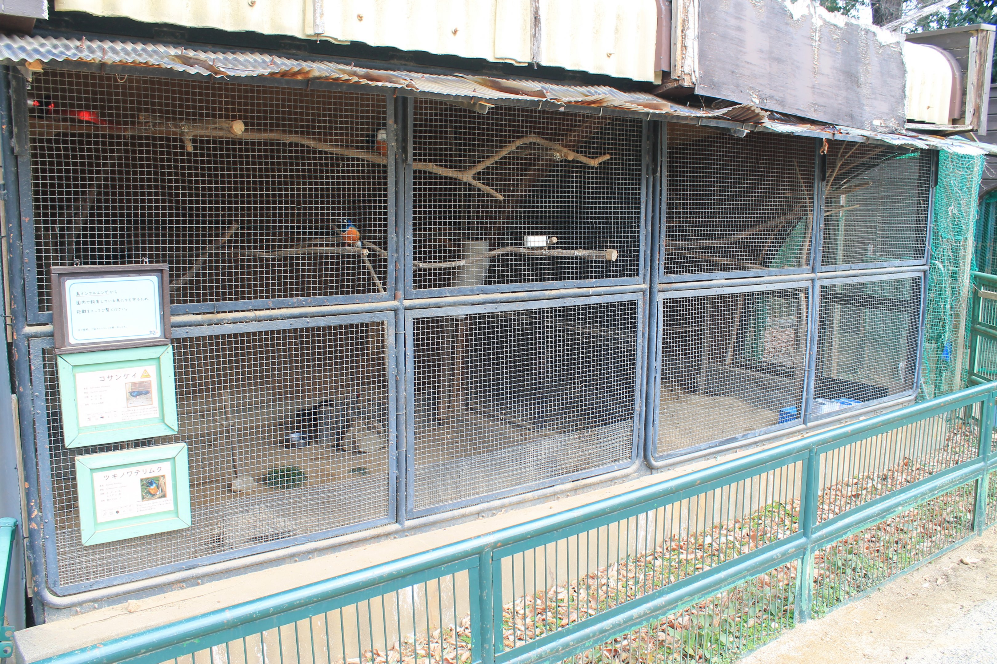 Aviaries  - Saitama Childrens Zoo