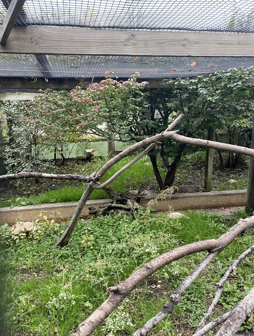 Aviaries - Scarlet Ibis Exhibit