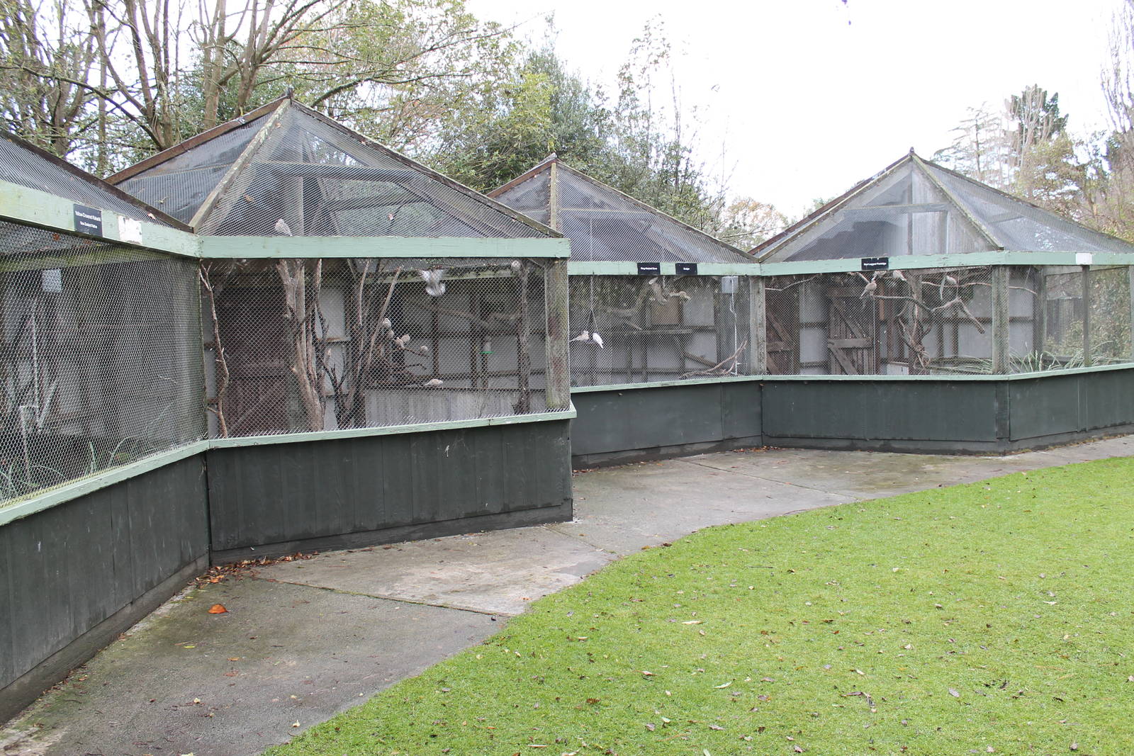aviaries, Seafield Wildlife Park