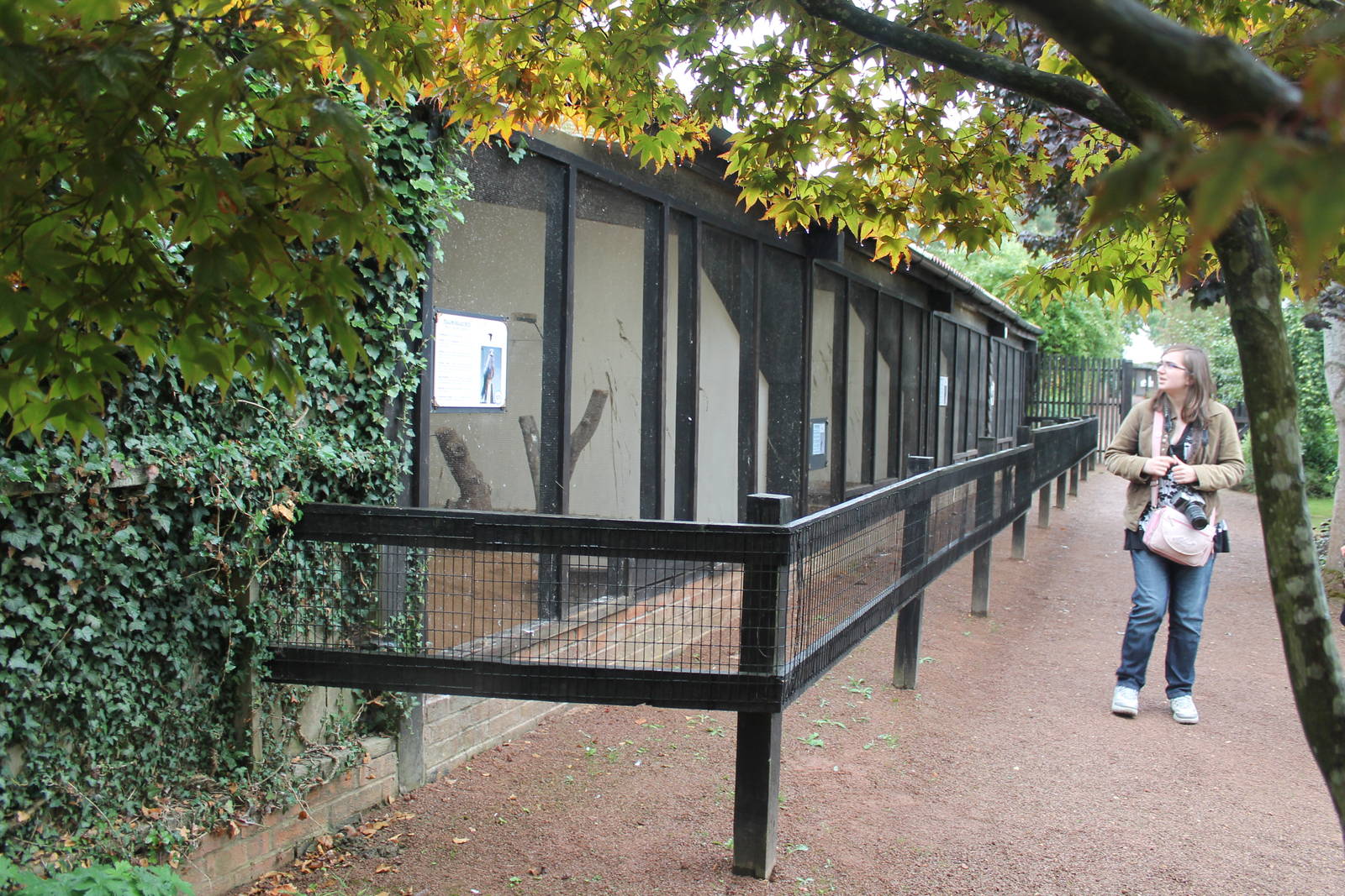 Aviaries, September 2013