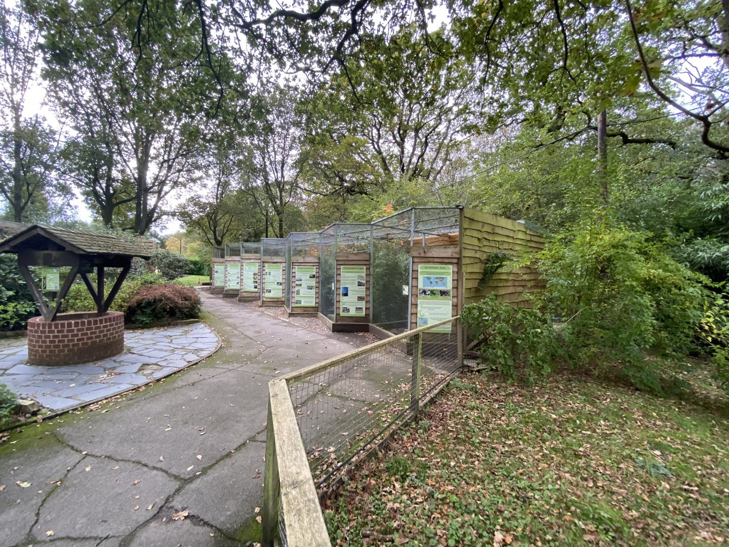 Aviaries - South East Asian birds 061121