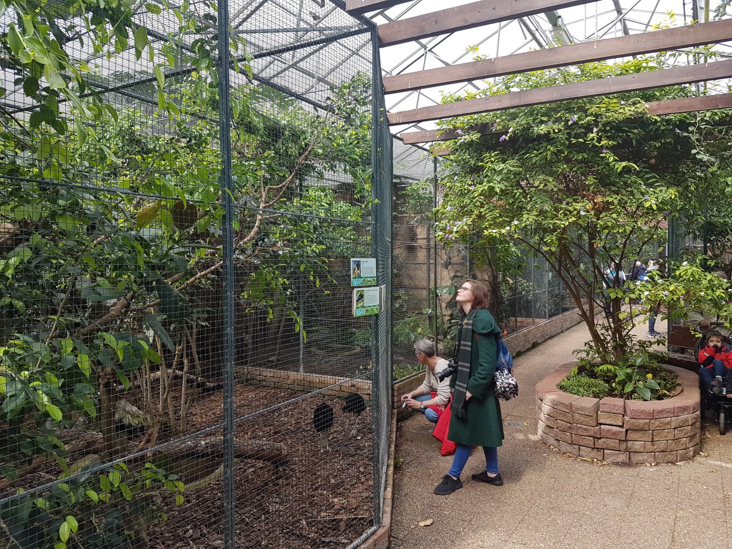 Aviaries Tropical Hall