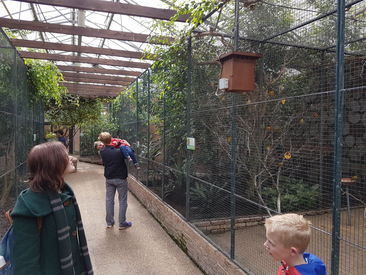 Aviaries Tropical House