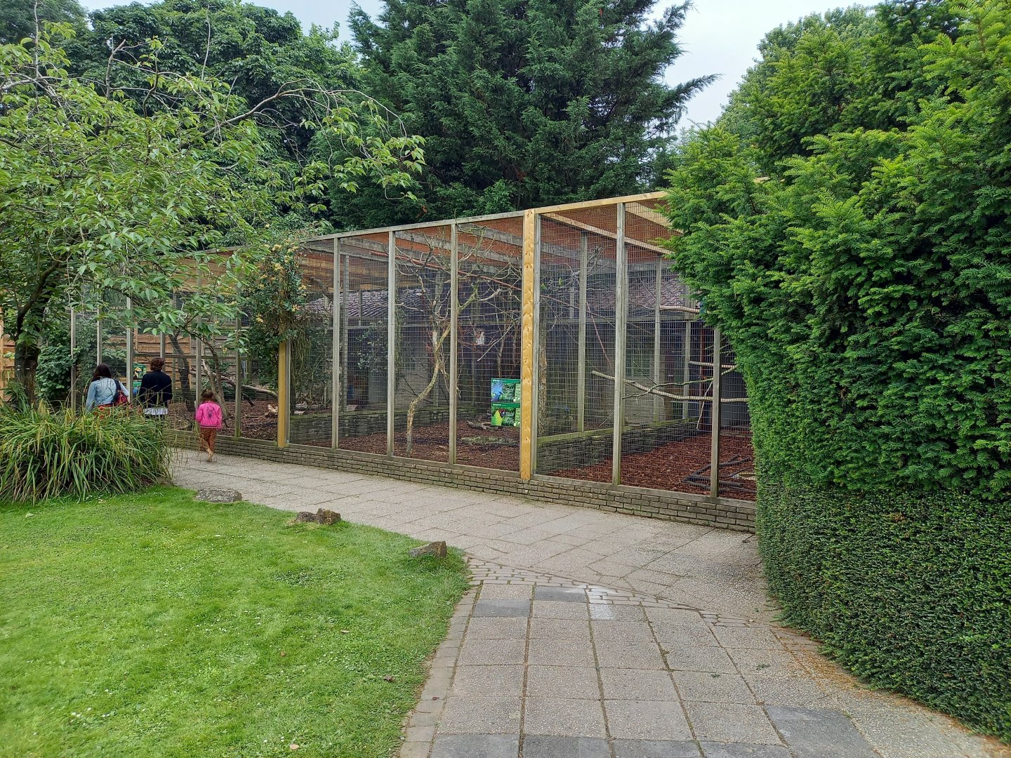 Aviaries Turacos - Crowned pigeon - Hornbill - Parakeet - Fowl