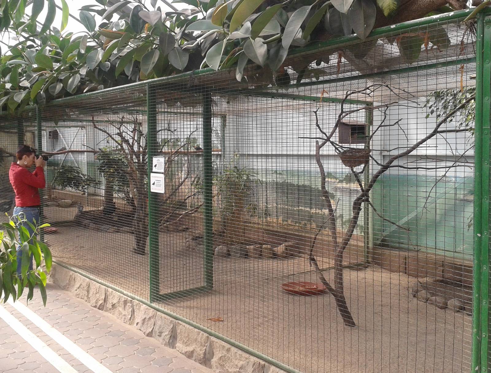 Aviaries Vogelparadies halle
