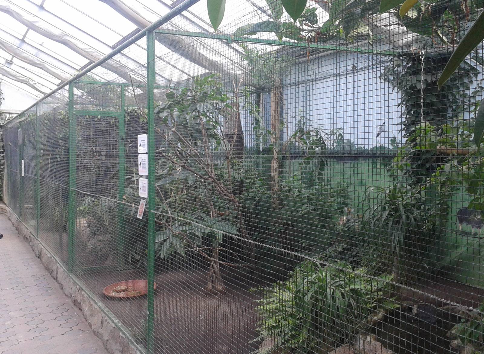 Aviaries Vogelparadies halle