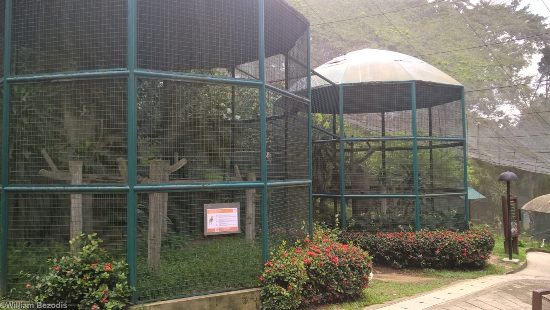 Aviaries Within the Main Walkthrough Aviary