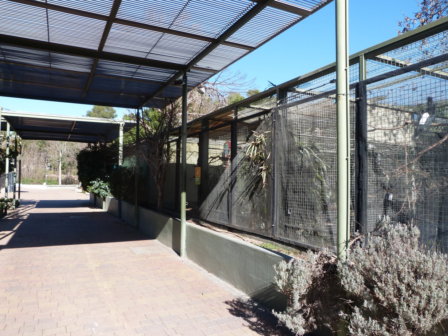 Aviaries -Zoo Aquarium de Madrid (2025)