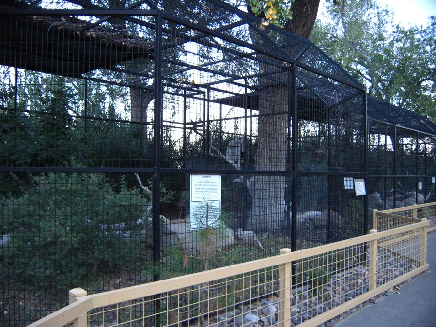Aviaries