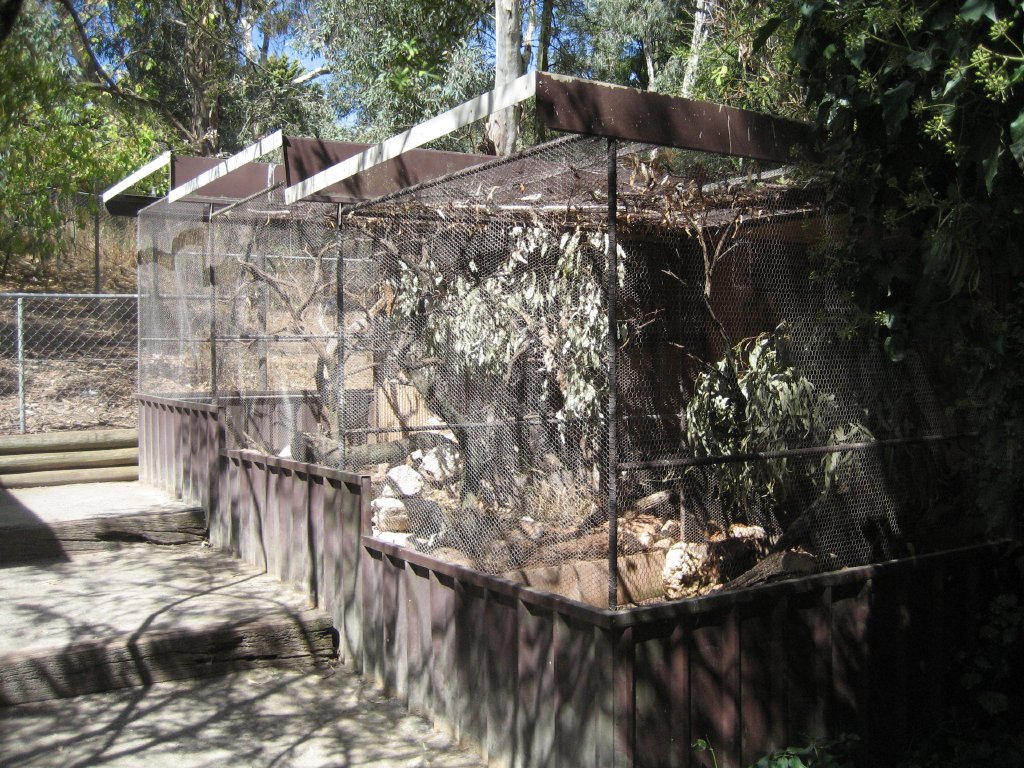 Aviaries