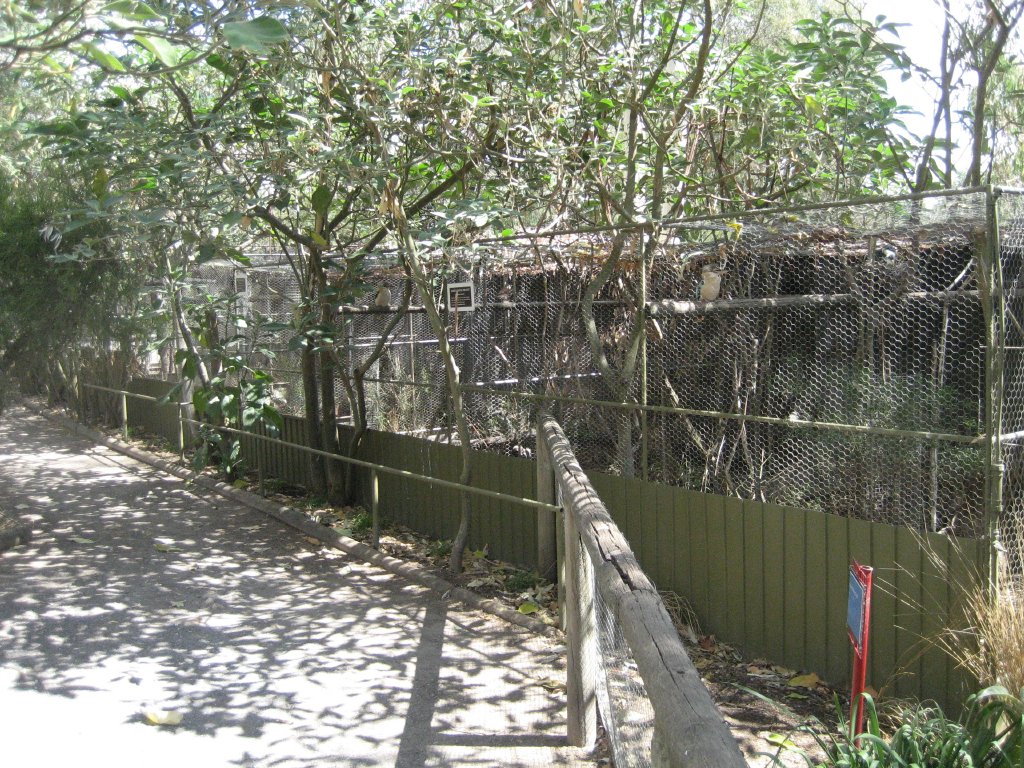Aviaries