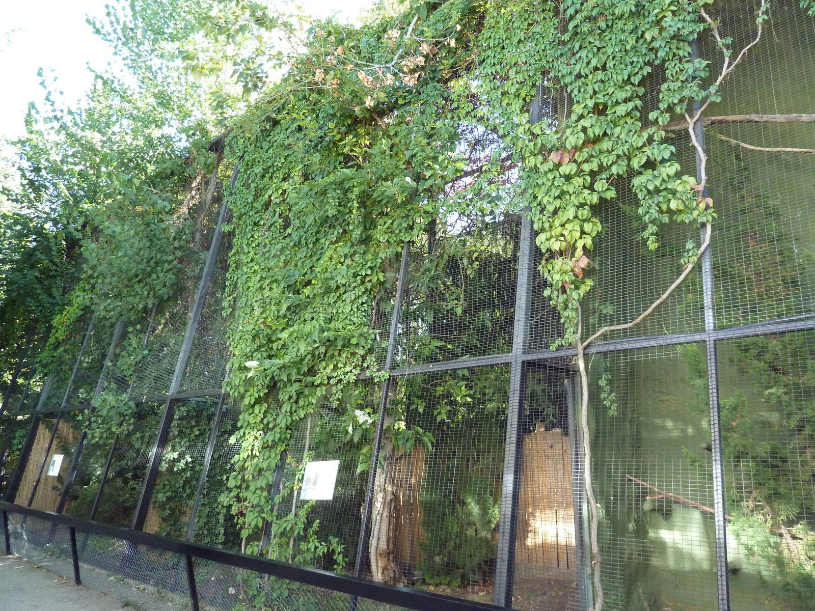 Aviaries