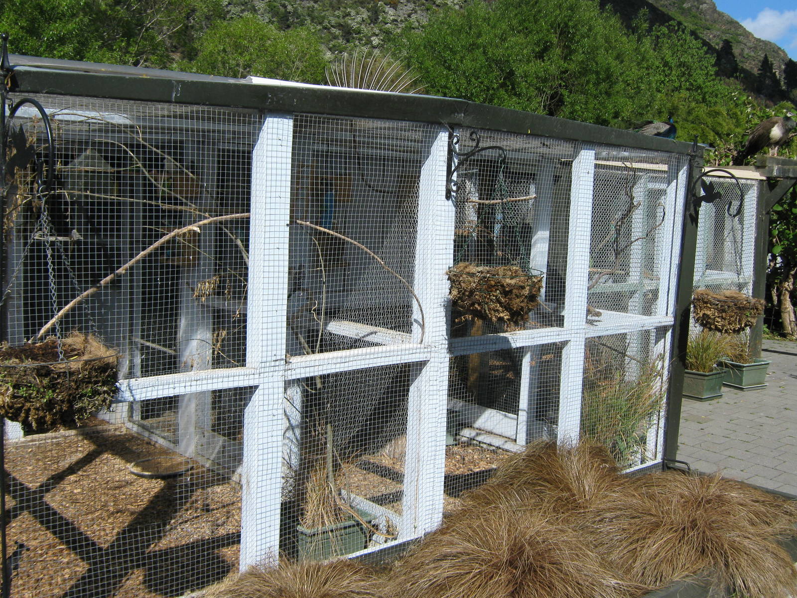 aviaries