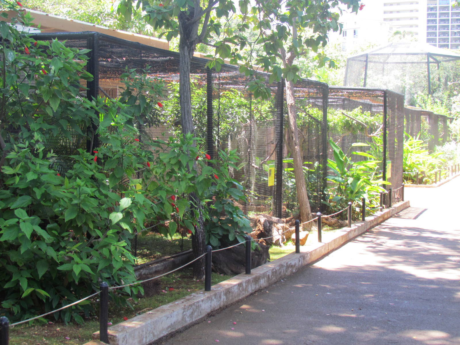 Aviaries
