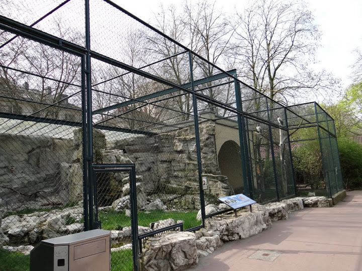 Aviaries