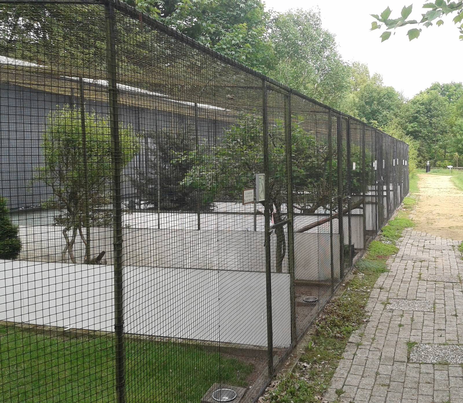 Aviaries